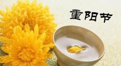 祝大家重阳节快乐！